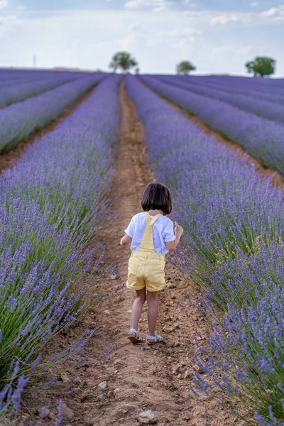 Little Girl Playing Lavender Field —  Fotos de Stock