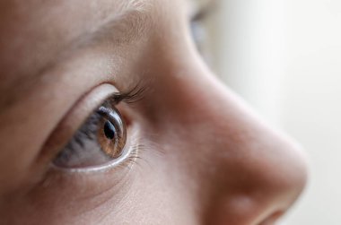 Çok güzel renkli bir insan gözünün aşırı yakın çekimi.