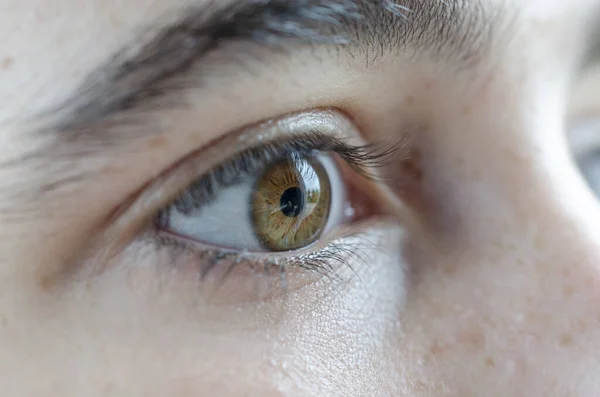 美しい色の人間の目の極端なクローズアップ — ストック写真