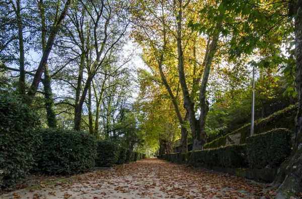 Πάρκο Της Πόλης Φθινόπωρο — Φωτογραφία Αρχείου