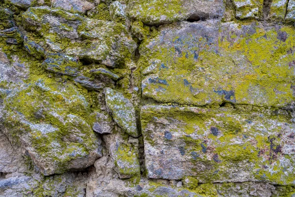 Texturas Piedra Para Los Fondos — Foto de Stock