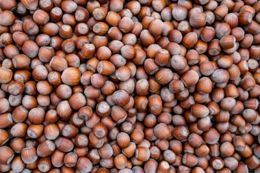 Fındık. Fındık yığınını. Gıda arka plan. Fındık arka plan