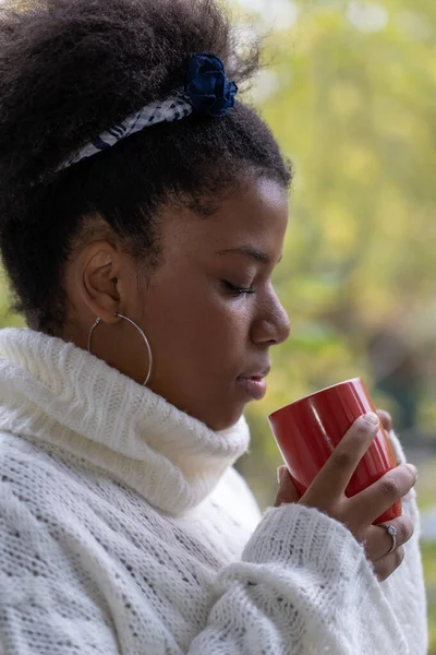 秋天的一天 年轻的非洲裔美国女人在窗户边喝咖啡 — 图库照片