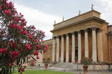Vatikan 'daki bir binanın arka planında çiçek açan çalılar.