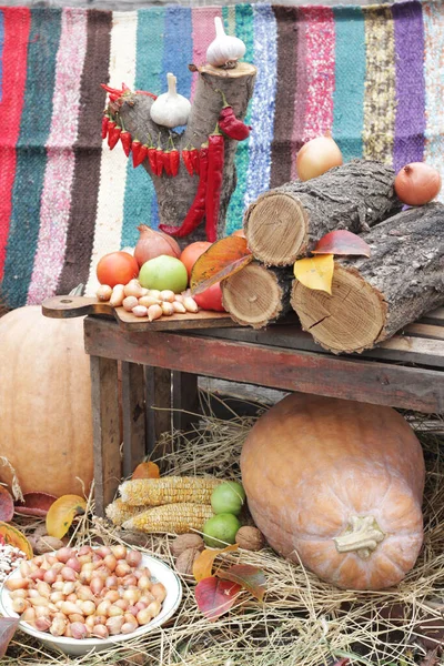 Récolte Automne Potiron Poivrons Tomates Oignons Ail Haricots — Photo