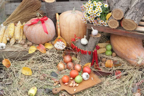 Sonbahar hasadı: sebze, fasulye, samandaki balkabağı, biber, mısır, domates