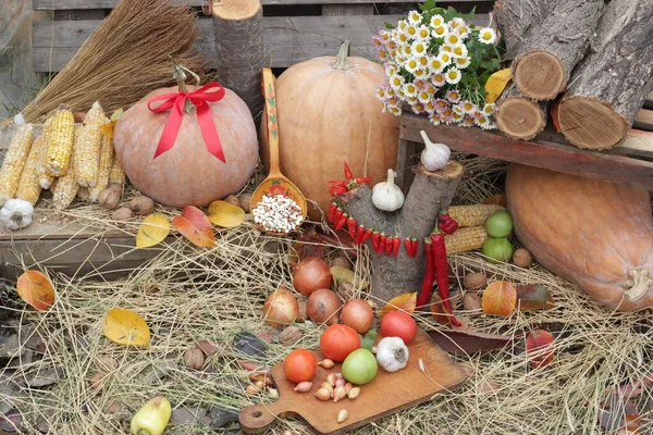 Herfst Oogst Groenten Bonen Pompoenen Het Hooi Chili Pepers Maïs — Stockfoto