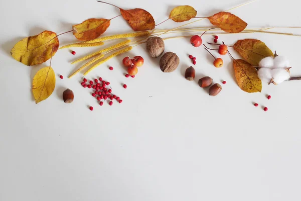 Podzimní Žluté Listy Ořechy Červené Bobule Žluté Sušené Květiny — Stock fotografie