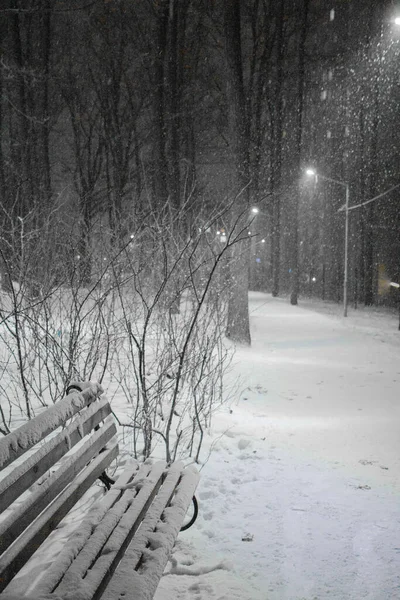 Χιονόμπαλα Στο Πάρκο Παγκάκι Στο Χιόνι Παγωμένο Βράδυ — Φωτογραφία Αρχείου