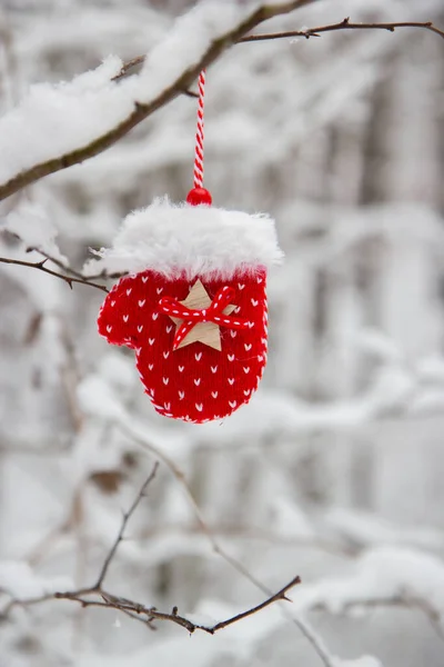 Red Mitten Snow Glove Hangs Tree Snowy Forest Winter Snow — Stock Photo, Image