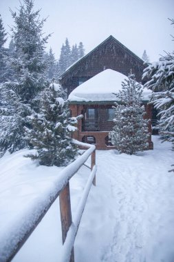 Ağaçlara çok kar yağar, kardaki Noel ağaçları, kayak merkezi, kış, kış ormanlarındaki ahşap evler