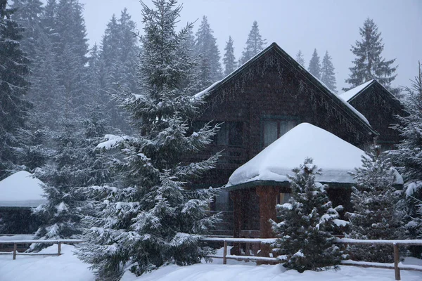 Muita Neve Nas Árvores Árvores Natal Neve Estância Esqui Inverno — Fotografia de Stock