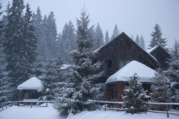 Mucha Nieve Los Árboles Árboles Navidad Nieve Estación Esquí Invierno —  Fotos de Stock