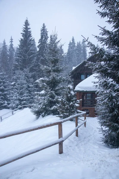 Hodně Sněhu Stromech Vánoční Stromky Sněhu Lyžařské Středisko Zima Dřevěné — Stock fotografie