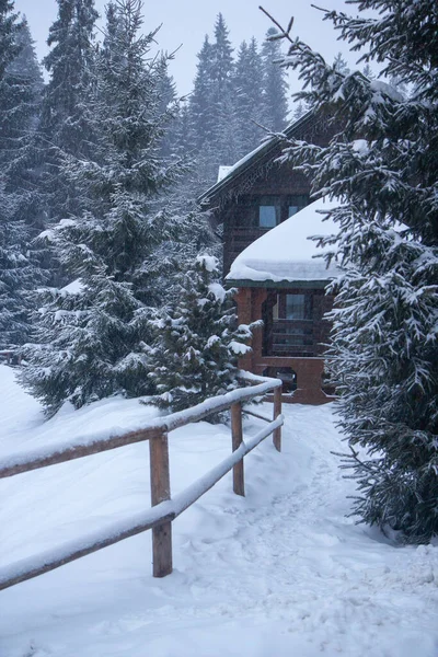 Hodně Sněhu Stromech Vánoční Stromky Sněhu Lyžařské Středisko Zima Dřevěné — Stock fotografie