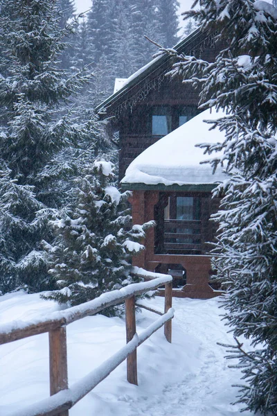 Mucha Nieve Los Árboles Árboles Navidad Nieve Estación Esquí Invierno —  Fotos de Stock