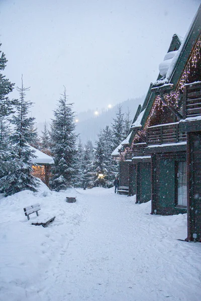 Noite Inverno Aldeia Casas Madeira Neve Floresta Inverno Abetos Neve — Fotografia de Stock