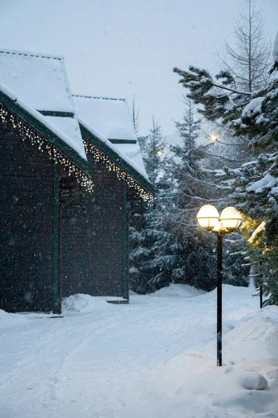 Noite Inverno Aldeia Casas Madeira Neve Floresta Inverno Abetos Neve — Fotografia de Stock