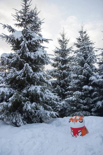 Orange Tiger Sits Snowdrift Forest Fir Trees — Stock Photo, Image