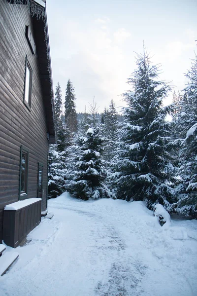 Floresta Inverno Neve Uma Casa Madeira Caminho Vai Atrás Casa — Fotografia de Stock