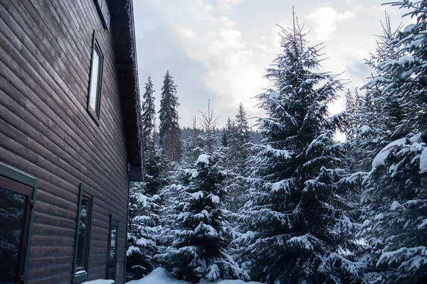 Zimní Les Sněhu Dřevěný Dům Stezka Vede Domem — Stock fotografie