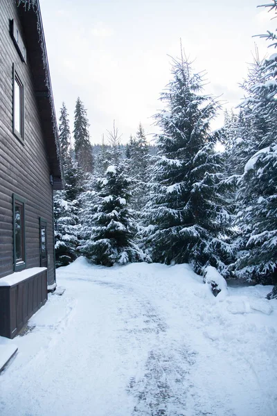 Winter Forest Snow Wooden House Path Goes House — Stock Photo, Image