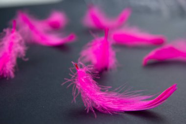 Siyah arkaplanda pembe tüyler