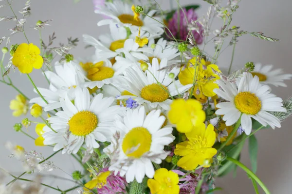 Bouquet Flowers Jar Table Chamomile — Stock Photo, Image