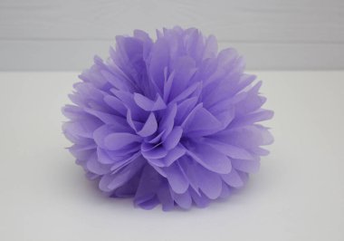 Mor ponpon beyaz arkaplanda izole