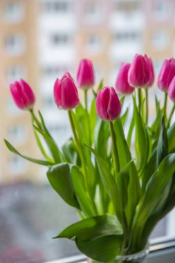 Penceredeki vazoda bir buket pembe lale.