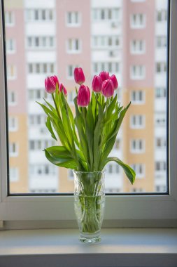 Penceredeki vazoda bir buket pembe lale.