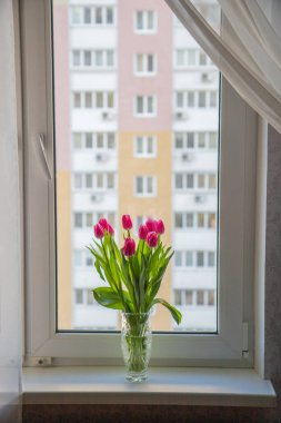 Penceredeki vazoda bir buket pembe lale.