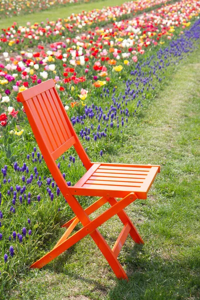 orange chair in a field of tulips