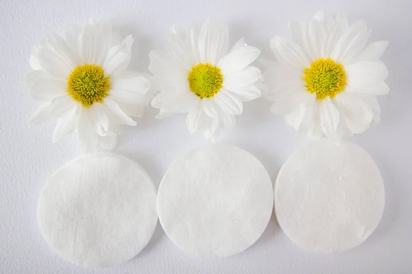 Chamomile and cosmetic cotton pads