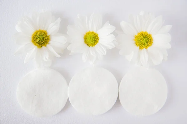 Chamomile and cosmetic cotton pads