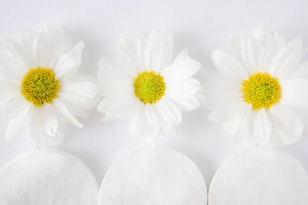 Chamomile and cosmetic cotton pads
