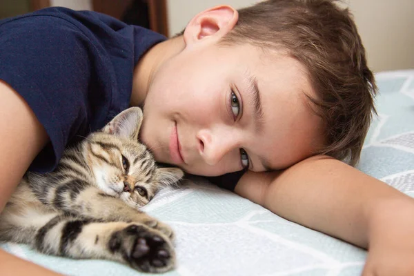 Мальчик Кошка Кровати — стоковое фото