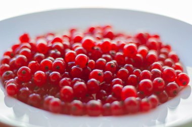 Beyaz bir tabakta kırmızı frenk üzümü, beyaz arka planda kırmızı frenk üzümü.