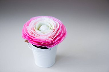 Masadaki beyaz vazoda pembe ranunculus.