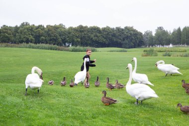 boy in the park feed the ducks