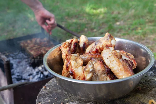 Fried Meat Grill Metal Bowl — ストック写真