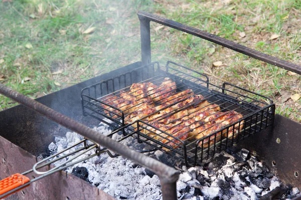 Grilled Chicken Wings Fire — 图库照片