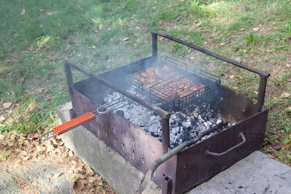 grilled chicken wings on a fire
