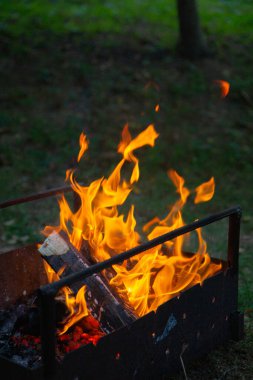 burning coals on the campfire, flames in the fire