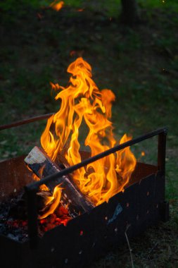 Şöminede yanan ateş