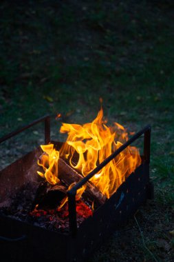 fireplace in fire flames on the campfire, firewood, burning coals, smoke, warm