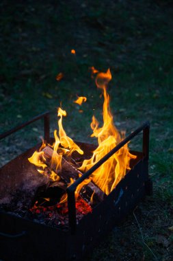 Şöminede yanan ateş