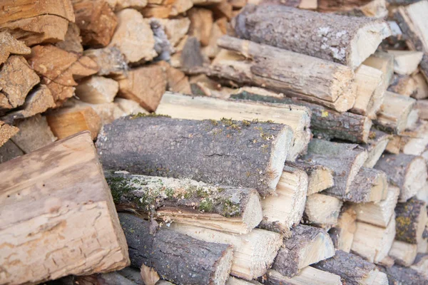 Many Wooden Logs Stacked Rows Logging — стоковое фото