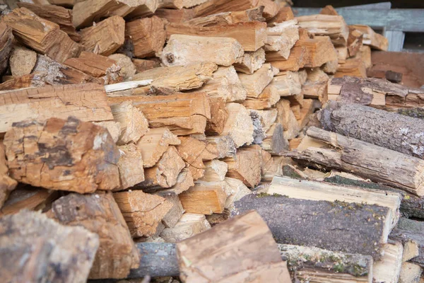 Many Wooden Logs Stacked Rows Logging — стоковое фото