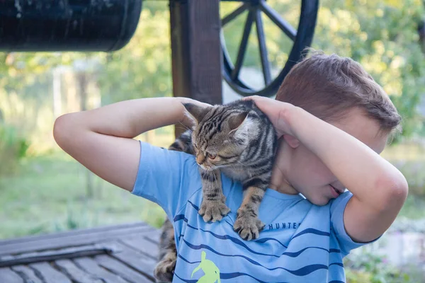 a boy hugs a cat, a happy child holds a cat in his arms